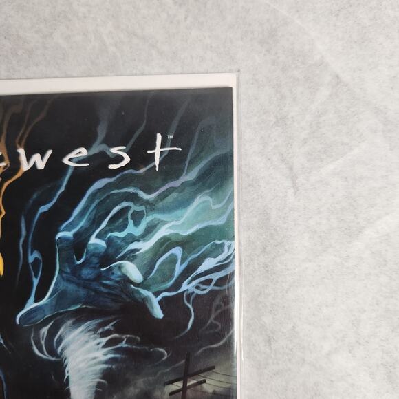 Middlewest #1 1st Print Appearance Main Cover A Skottie Young NM - Picture 3 of 6